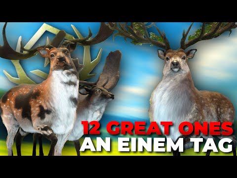 ER hat 12 GREAT ONES in theHunter an einem einzigen Tag geschossen! 🤣