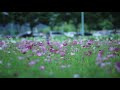 Putham Puthu Kalai Song
