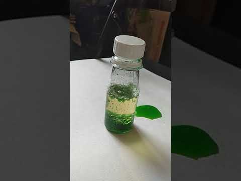 ЦВЕТНАЯ ЛАВА. АЛХИМИК ХИМИЧЕСКИЕ ОПЫТЫ. ЛАМПА-ЛАВА!!!