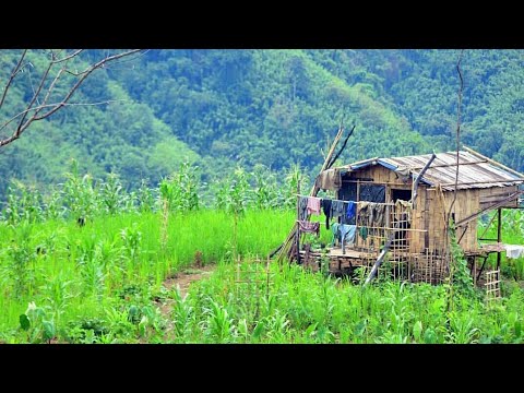 Ngurthansanga   Sawmfang hmun mawi..