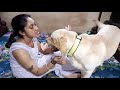 Mum is tired after long day. But Coco need his cuddles. Watch how gets his loving from Mum. Mum is tired after long day. But Coco need his cuddles. Watch how gets his loving from Mum.