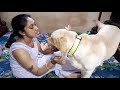 Mum is tired after long day. But Coco need his cuddles. Watch how gets his loving from Mum.