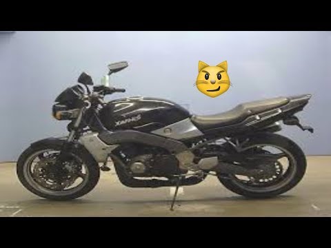Купить Мотоцикл В Ростове В Кредит