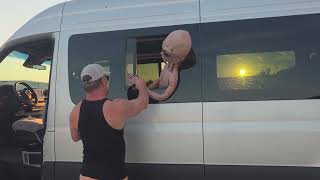 Aliens Go For A Ride