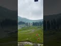 Taip Meadow Swat Valley Pakistan Shorts