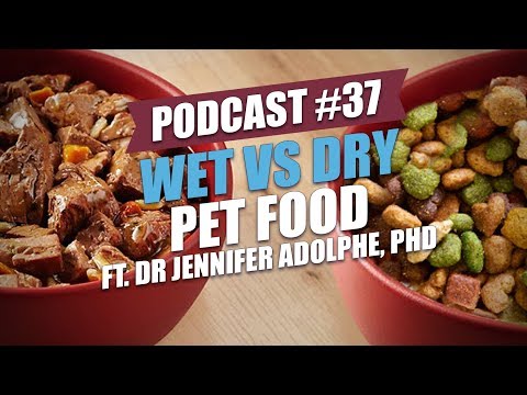 TOP #37: Wet vs Dry Pet Food ft. Dr Jennifer Adolphe, PhD