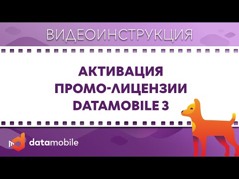 DataMobile 3: Активация Промо Лицензии на ТСД