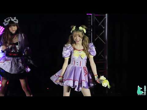 lFANCAMl VASA Castella「カステラ」- ทาสแมว (Cat slave)