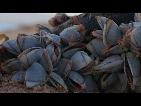 'Habits' - BCM304: Global Screen Project - Final Work