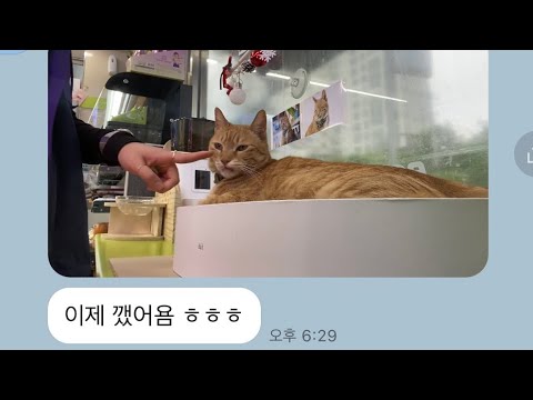 알바생과 나의 연결고리