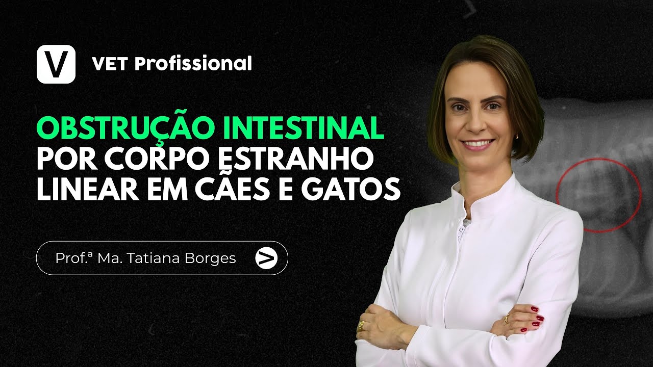 Obstrução causada por CORPO ESTRANHO LINEAR em cães e gatos | VET Profissional