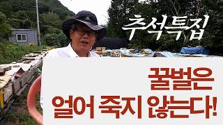 추석특집, 꿀벌은 얼어 죽지 않는다, 그동안의 성원에 감사드립니다.