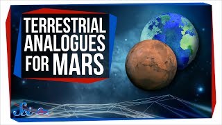 What Studying Earth Can Tell Us About Life on Mars