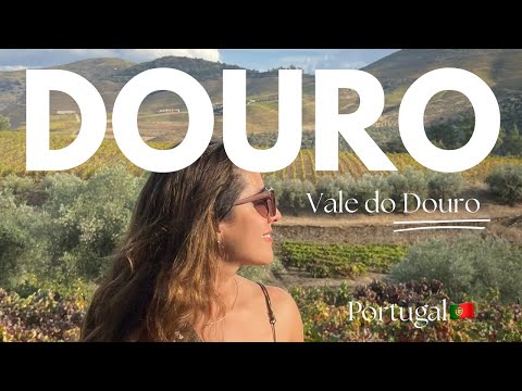 Roteiro no Douro! Visitamos uma quinta e fizemos um passeio de trem 🚂🍇🍷🏞️