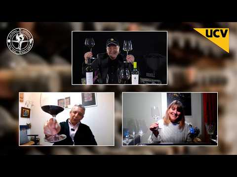 Los Vinos Cardinales capítulo 18