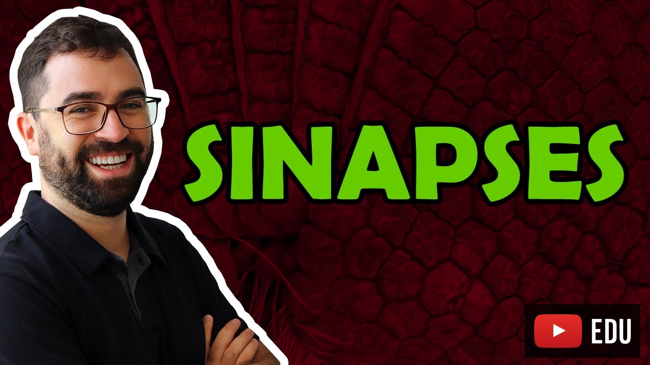 Sinapses - Aula 18 - Módulo VII: Histologia e Fisio Humana | Prof. Gui