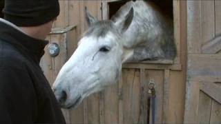 preview picture of video 'Injured police horse returns home to Lancaster'