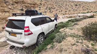 נחל בטח מרץ 2025