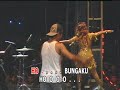 BUNGA INUL DARATISTA