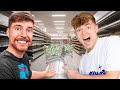 Mit MRBEAST Einen Supermarkt LEER Kaufen 500k Ausgegeben