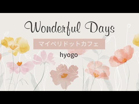 My Peridot Cafe Nishinomiya City Cafe con menú para perros