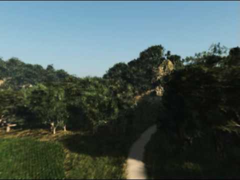 Forest Fly Through 02