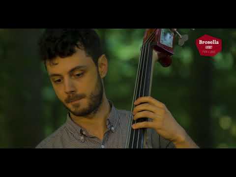 gHex Trio - Tokyo Cookie (The Unplugged Sessions  Brosella Folk & Jazz Festival 2018)