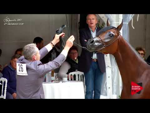 N.26 SATIN K.A. - Deauville 2017 - Fillies 2 years old (Class 2)