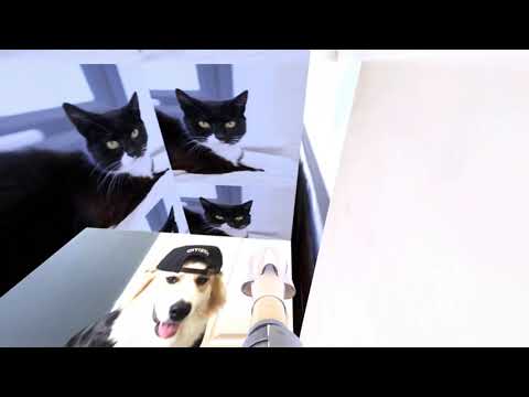 tomato tom on jump_prostate_b4 - 03:08.924