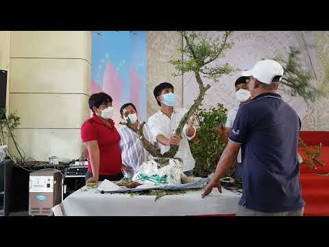 Lớp Bonsai 2022 - 19