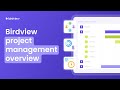 Birdview Project Management Overview