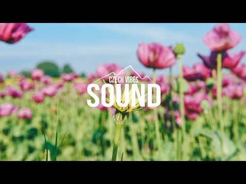 devon rea & imagiro - pillow top