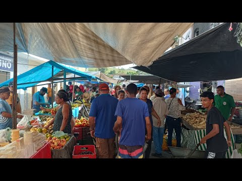 Feira livre de Palmeirina PE 23/03/2026