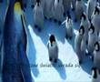 Happy Feet Day At School Polish