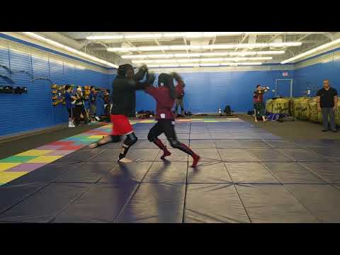 Rapier and Dagger VS Longsword