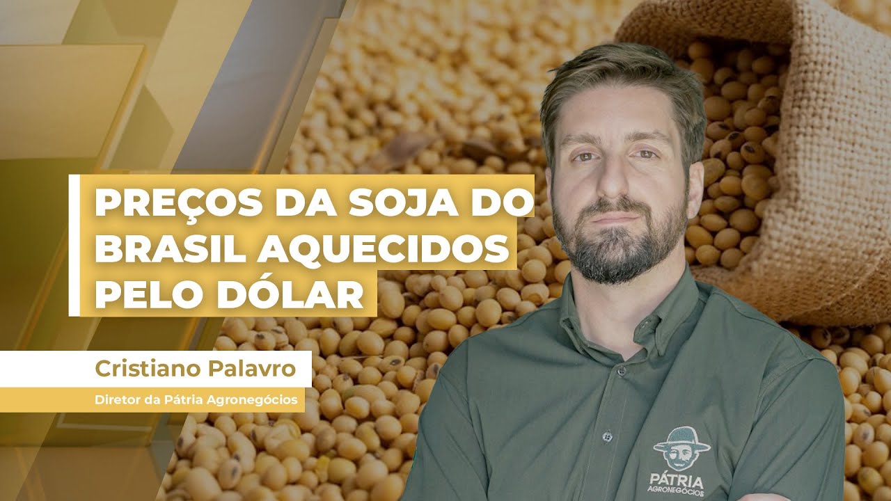 Mercado da soja no BR começa semana com preços aquecidos pelo dólar próximo dos R$ 5,80