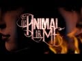 The Animal In Me - Your Time Is Done (Lyric Video ...