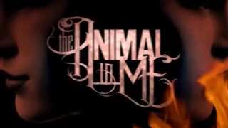 The Animal In Me - &quot;Your Time Is Done&quot; (Lyric Video)
