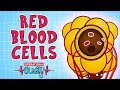 Operation Ouch Red Blood Cells Biology Facts For Kids