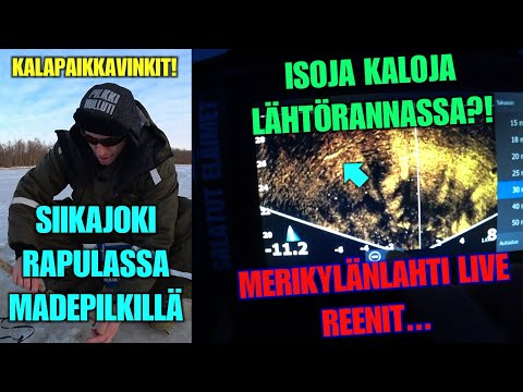 SIIKAJOKI MADEPILKKIÄ JA MERIKYLÄNLAHTI LIVE REENIT ( Siikajoki Madepaikka valosalla ja MERIkyläL )
