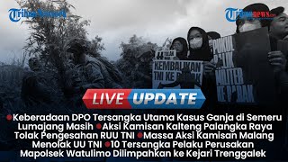 Live Update Siang: DPO Tersangka Utama Kasus Ganja di Semeru, Aksi Kamisan Tolak Pengesahan RUU TNI