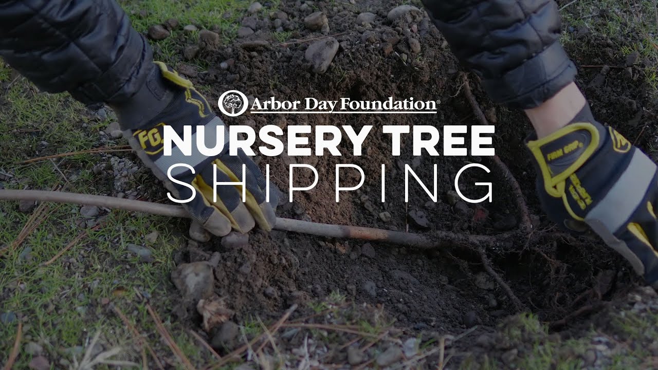 Arbor Day Foundation Nursery Tree Shipping