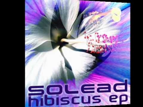 SOLEAD // Hibiscus EP // [BUS012]