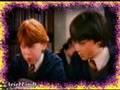 Harry Potter 2 Guys For Hermione Harry Hermione Ron SLASH