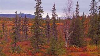 Lapland, Finland, Travel Photos