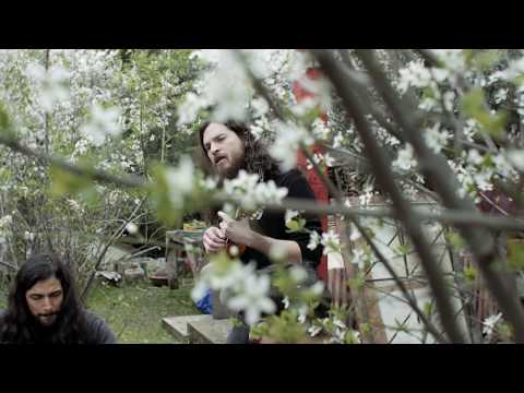 LaVitrola.cl: Fósil - Todo está bien