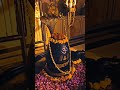 Om Namah Shivay Bhole Mahadev Status Videos Monday Morning Morning Monday Nvnshiv Mahadev