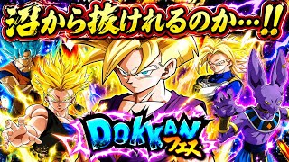 【ドッカンバトル】……第2弾は大丈夫だよね……!!【グローバルCP2026第2弾 ドッカンフェス】