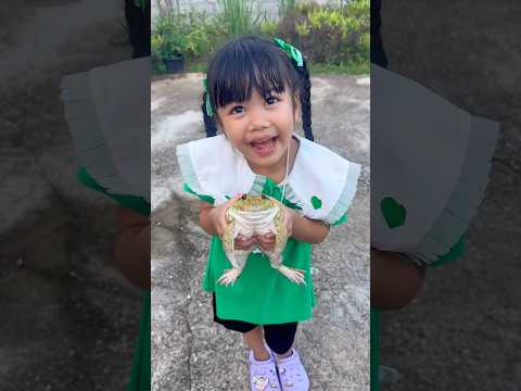 น่ารักทั้งคู่เลย ไอบี้EP.451 #โบ๊ะบ๊ะshorts #funny