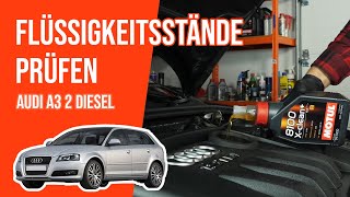 Youtube thumbnail of video "Die Flüssigkeitsstände prüfen"
